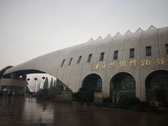 -自贡恐龙博物馆