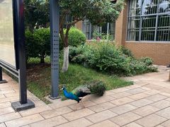 -云南艺术学院(呈贡校区)