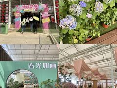 -盈香心动乐园