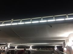 -演武大桥观景平台