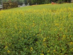 -BHG生活超市(安贞店)