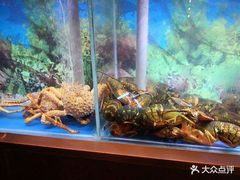 -人杰鱼乐轩(珠江路店)
