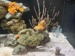 -Zoolung Zoolung动物主题公园(海信广场店)