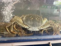 -阳澄湖大闸蟹·琼灵阁牌品牌连锁(吴中总店)