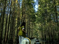 -桤木河湿地公园