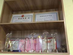 -派联宠物医院·24h·CT·异宠