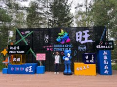 -汤旺河林海奇石景区