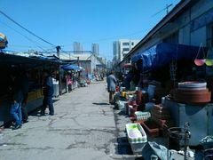 android_upload_pic-长宁东道花卉宠物市场