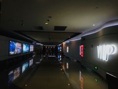 -金逸影城(荟聚IMAX激光店)