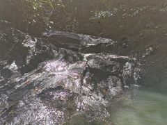 -乌鲁淡布隆国家公园