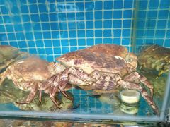 -范饭椰林川湘味海鲜·椰子鸡(三亚湾椰梦长廊店)