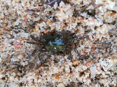 -东戴河风景区-止锚湾