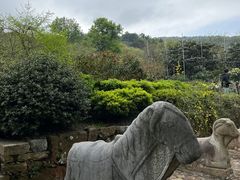 -雨花胜境