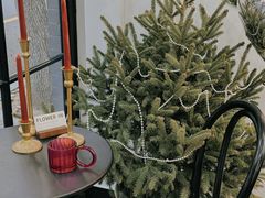 -Flower in(密渡桥店)