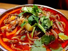 -蒙料·手把肉(望京店)