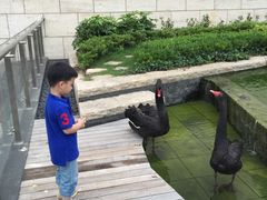 -行者书屋大堂吧 ·下午茶(南京圣和府邸酒店)