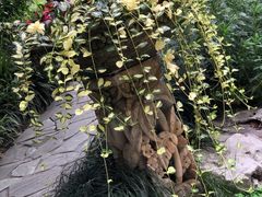 -静安公园(静安寺街道)