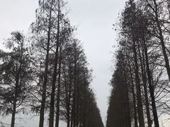 -大赤坎肥仔强烧味海鲜餐厅(大赤坎店)