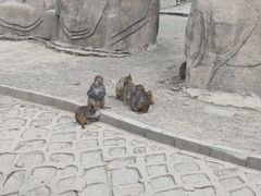 -哈尔滨北方森林动物园