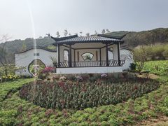 -苏州上方山国家森林公园