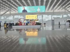 -郑州新郑国际机场-T2航站楼