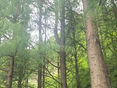 -幕燕滨江·长江观音景区