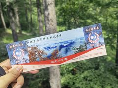 -白草畔自然风景区