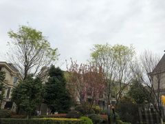 -两河城市森林公园