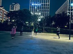 -摆渡站(董家渡站)