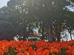 -上海鲜花港