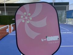 -Our Pickleball多多动匹克球俱乐部(世博源店)