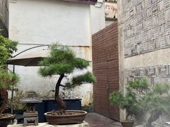 -觀芷隐轩
