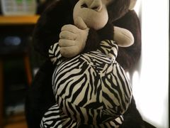 -ZOO COFFEE 动物园咖啡(亦庄店)