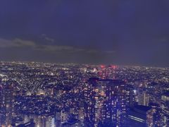 -东京都厅舍