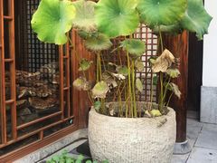 -四季厨房 鲁菜·孔府烤鸭(高新万达店)