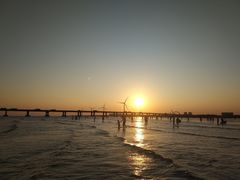 -南汇新城海滩
