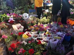-中环花鸟鱼虫市场