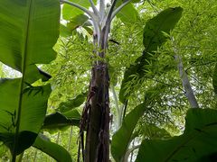 -驿舍·民國老营房院子私房菜(科学会堂店)