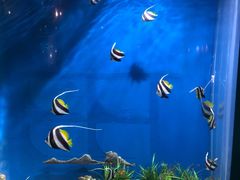 -福州罗源湾海洋世界旅游区