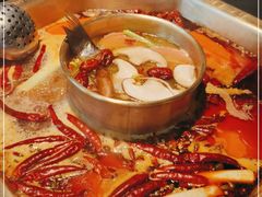 -蜀九香火锅(李家沱店)