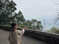 -山顶缆车