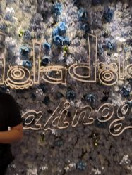 -doladola(徐家汇店)