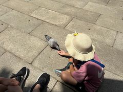 -龙口南山旅游景区