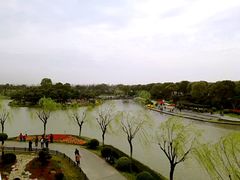 -上海鲜花港