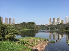 -重庆彩云湖湿地公园