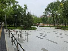 -大望京公园