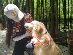 -桤木河湿地公园