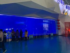 -泉城欧乐堡海洋极地世界