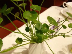 -京粤荟(海王银河科技大厦店)