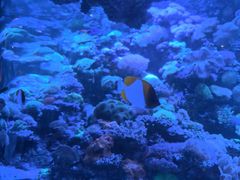 -太平洋海底世界